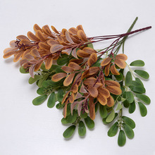 ¿5滨~ ~ֲĻ~cb~