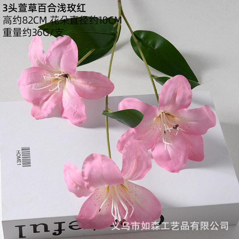 Hemerocallis lirio rosa claro rojo