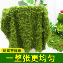 1*1�׷���̦�\�쾰��Ƥ�辰���΢���^�Ҿ��b���ë�\�Ĕz����