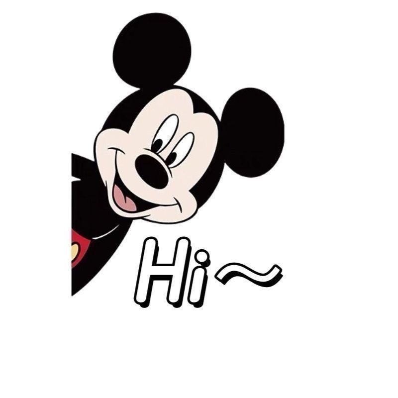 HI Mickey [20cm]