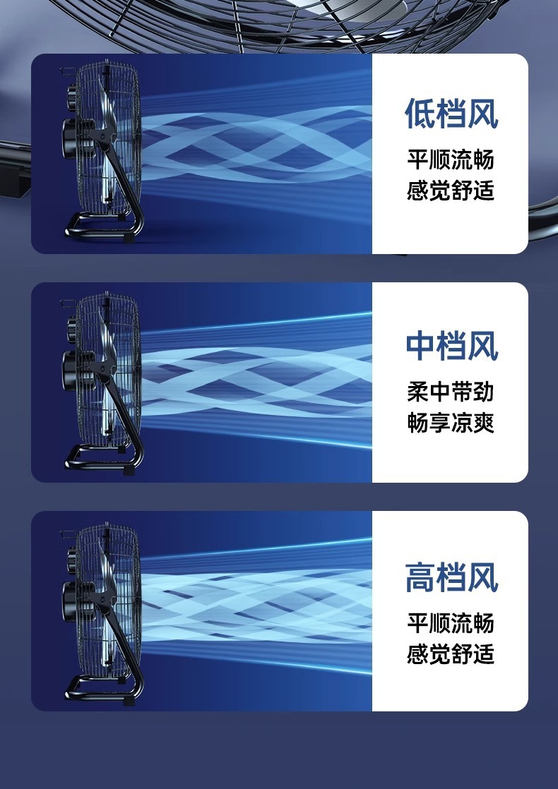 afc8c62a-9eb4-4232-b526-8c7bde365a0f.jpe