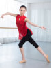 Modern classic sports clothing, gymnastics dancing elastic mesh