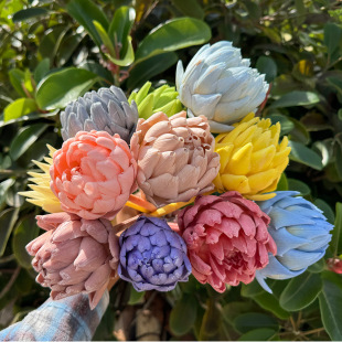 ������֧���E�Ҿӻ�c�b��滨�ɻ�����diy���ϏS��ֱ�l