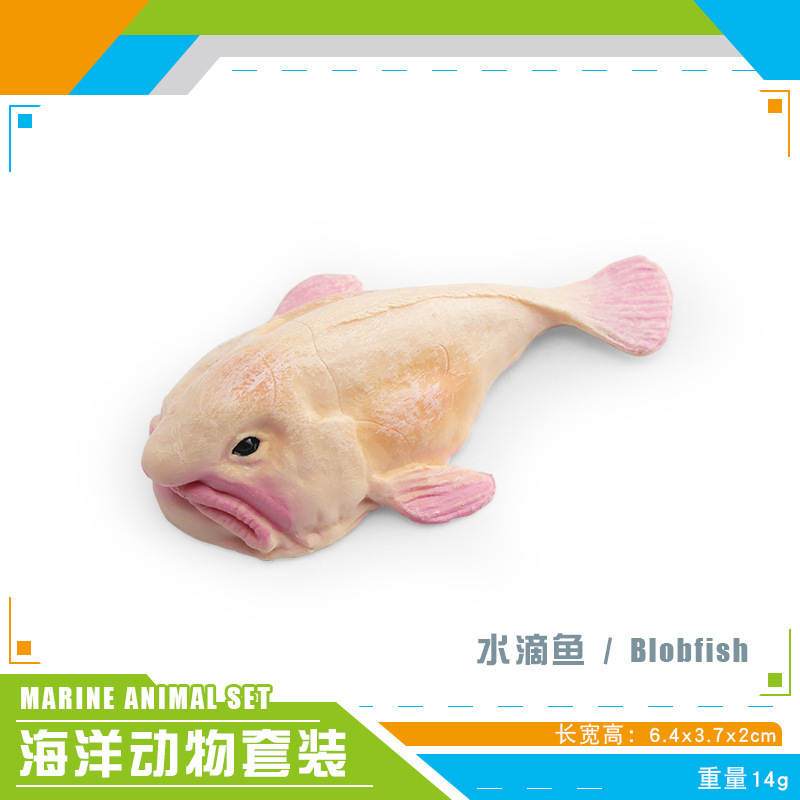 Transfronteriza simulación animal marino atún pargo real ganado puerto bajo salmón modelo adornos