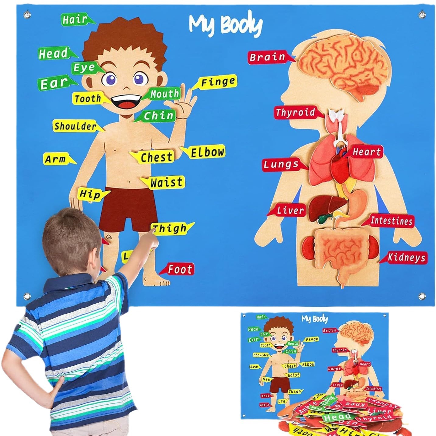 Ventas calientes de educación temprana aprendizaje de partes del cuerpo juguetes sensoriales historia de fieltro reconocimiento de partes del cuerpo tablero de enseñanza