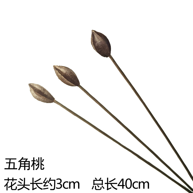 적갈색 오각형 복숭아 3개