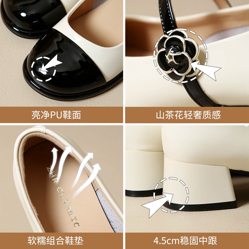 Giày Mary Jane nữ quai ngang cổ điển, gót vuông, mũi nhọn — AW107 mét Đen