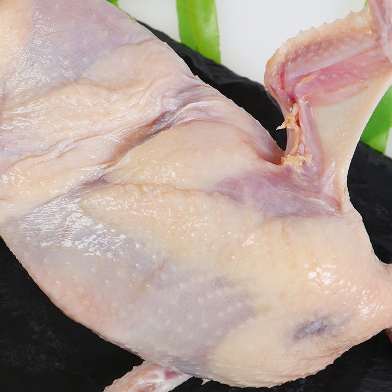 乳鴿批發新鮮大鹌鹑肉壹整箱去內髒白條鴿肉燒烤冷凍廠家直銷跨境