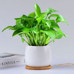 �G�}�҃�����С�����ļ���G�^�~ֲ������՚Ȿ��ˮ��ӼҺ��B