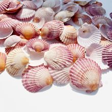 ��Ȼ����ؐ 4-7cmؐ�����ݰ����u �Ʒ�b��~���쾰��ͯ���ղ���