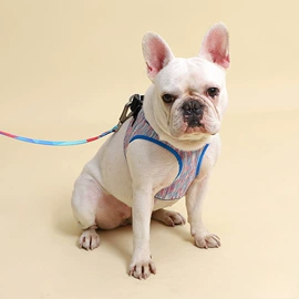 狗狗牵引;宠物推车;狗狗服装