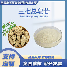三七总皂苷80%三七根茎提取物三七皂苷液相三七总皂甙PNS 100g起