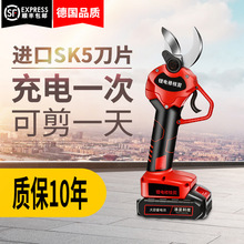電動修枝剪剪樹枝電動剪刀充電式鋰電池園林電剪刀果枝剪2電5電芯