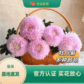 鲜切花;鲜花花艺制品;手捧花