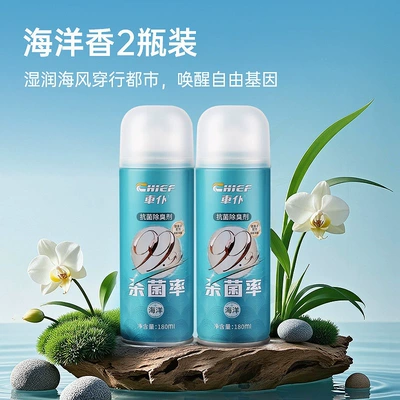 Carpet Official Flagship Store Car Air Conditioner Deodorizer and Sterilizer, Car Interior Odor Removal Air Freshener Spray (Air cooling agent for vehicle) - upgraded-silver-ion-marine-fragrance-2-bottles