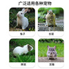 Capacious nibbler, rabbit, new collection, pet