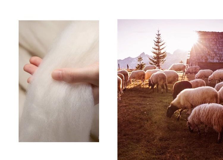 d317491a-6bc2-4a42-ac41-88dc017f6bbf.jpe