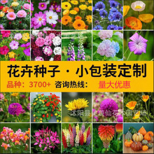 ���÷N��С���b�M�ϴ��l�ļ�ͨ���׷N��ͥ�@ˇ���N�ӏS���̨����