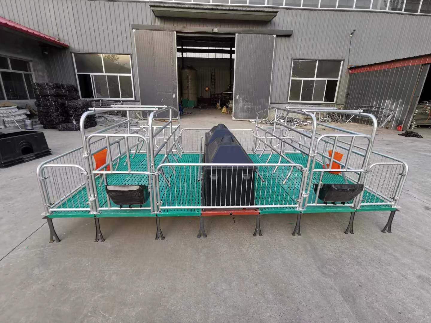 保育床仔猪双体塑料复合板热镀锌管保育栏母猪产床定位栏养猪设备-阿里巴巴