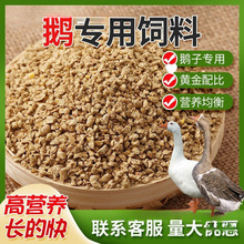 ʢsS80ZιZСZ_ZwȫrBֳ