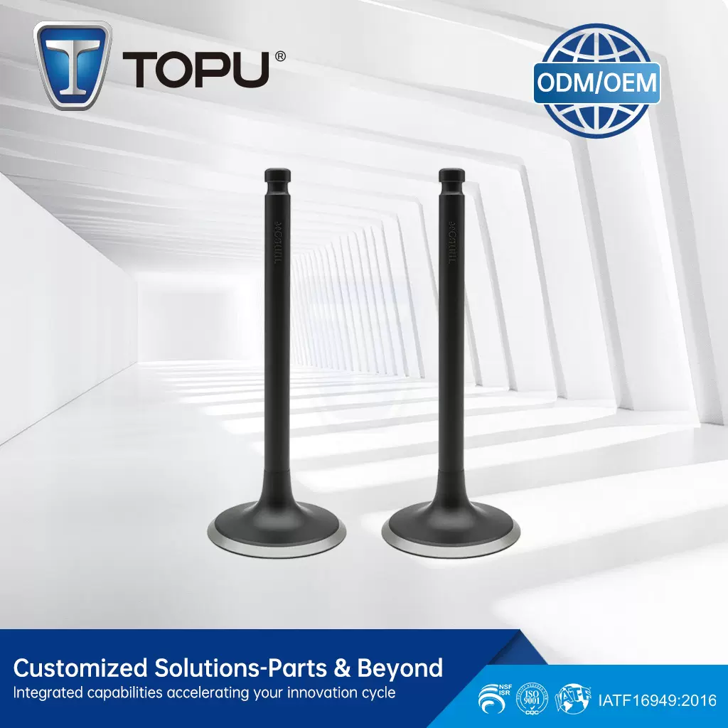 13201-FY525 CATERPILLAR K25A 2.5L KOMATSU K25 K21 发动机气门