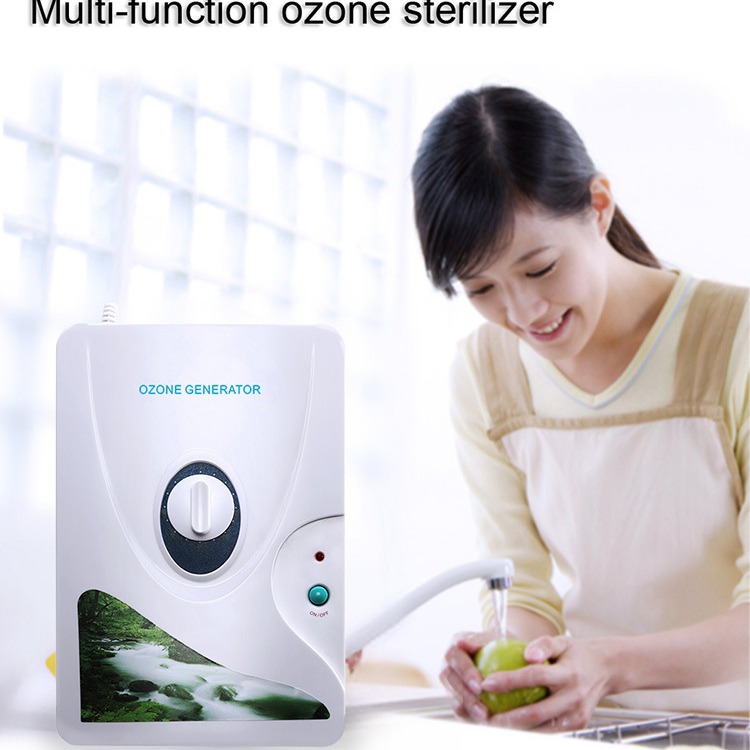 Cross-border fruit and vegetable disinfection machine household oxygen vegetable washing machine fruit and vegetable cleaning purifier ozone generator manufacturer wholesale