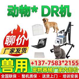 便携DR 移动DR设备宠物猫狗拍片床可移动便携式DR宠物厂家价