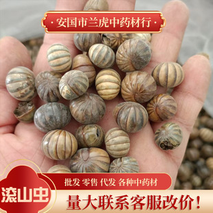 ��ș�ĝLɽ�x500g�Lɽ�� ���_�h �Lɽ�x�䱳��ș�����l����r��