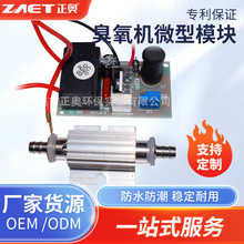 管式臭氧发生器微型模块 医疗美容仪消毒配件200mg小型臭氧机模块