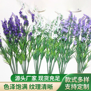 9�^޹�²� ���_��˹���滨 ����ˮ������ֲ�ａ���G���b�����