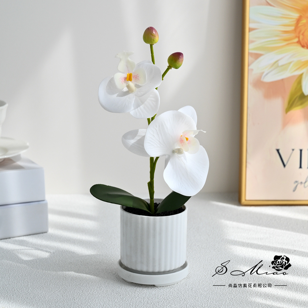 Dos flores, dos frutas, orquídeas mariposas pequeñas plantas de bonsai creativas, decoración del hogar de moda, fotografía de flores artificiales, decoración de flores de boda