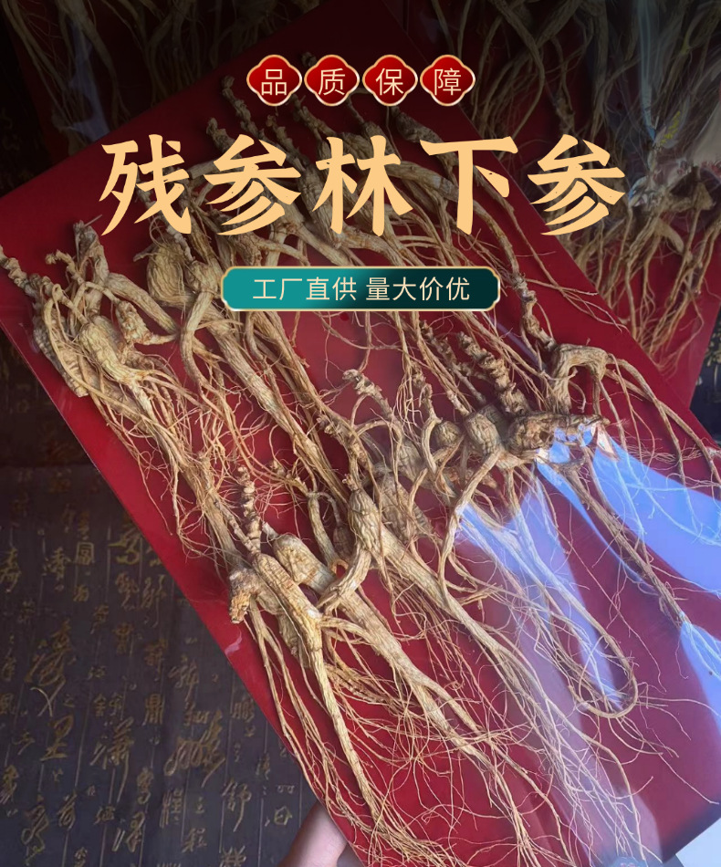 Dried Forest Ginseng Root Slices 100g Sun Dried Jilin Ginseng for Cooking and Decoction overview