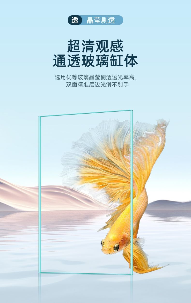 333c2612-8ce8-41f8-bd33-6bb17aee49ba.jpe