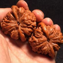 �����������y���ñ���������Ǫ{���^�ߒ����{��Ʒ�ְѼ�