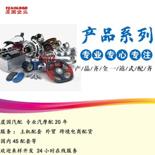 ǰ�°ڱ� R  L  2904010D1-ZCBYDSC 2904020D1-ZCBYDSC