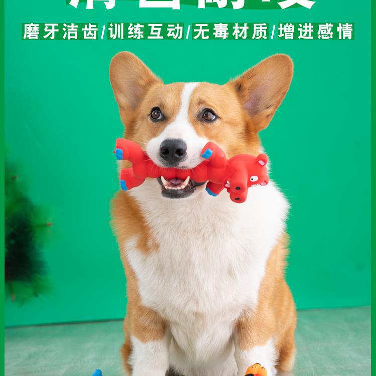 개 소리 장난감, 씹기 및 어금니 훈련, 코기 테디, 시바견 강아지, 심심함 해소 펫, 비숑 프리제 강아지