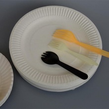 5 6 7 8 9英寸一次性纸盘子  烧烤 画画 蛋糕盘  制作材料diy