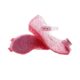 Cross-border ice and snow New girls' sandals closed toe bow Princess jelly shoes children's dance shoes generation