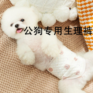 Male Dog Physiological Pants, Breathable for All Seasons, Anti-Harassment, for Estrus Period, Adjustable Pet Etiquette Belt