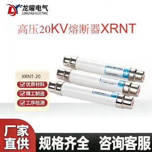 20KV�߉������۔���XRNT-20/50-125����ʽ�߷֔��۔�ܱ��U���մ�