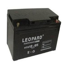LEOPARD美洲豹HTS12-65 免维护密封12V65Ah UPS/EPS直流屏机房