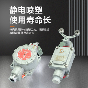 ����SEdL�����г��_�P����Exed IIB IIC Һ����ޅ^��ȫ��λ�b��