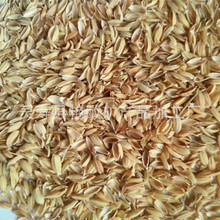 工廠供應稻殼 養殖場墊料用壓縮稻殼 散裝稻殼 釀酒稻殼粉稻糠