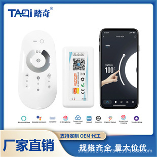 Led Graffiti Smart Controller Tuya Light Strip Controller Smart Voice App Tmall Genie Control 5-24V