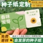 定制婚礼周边发芽种子纸