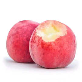 红梅水蜜桃冬脆桃毛桃整箱包邮新鲜水果当季时令桃子一件代发