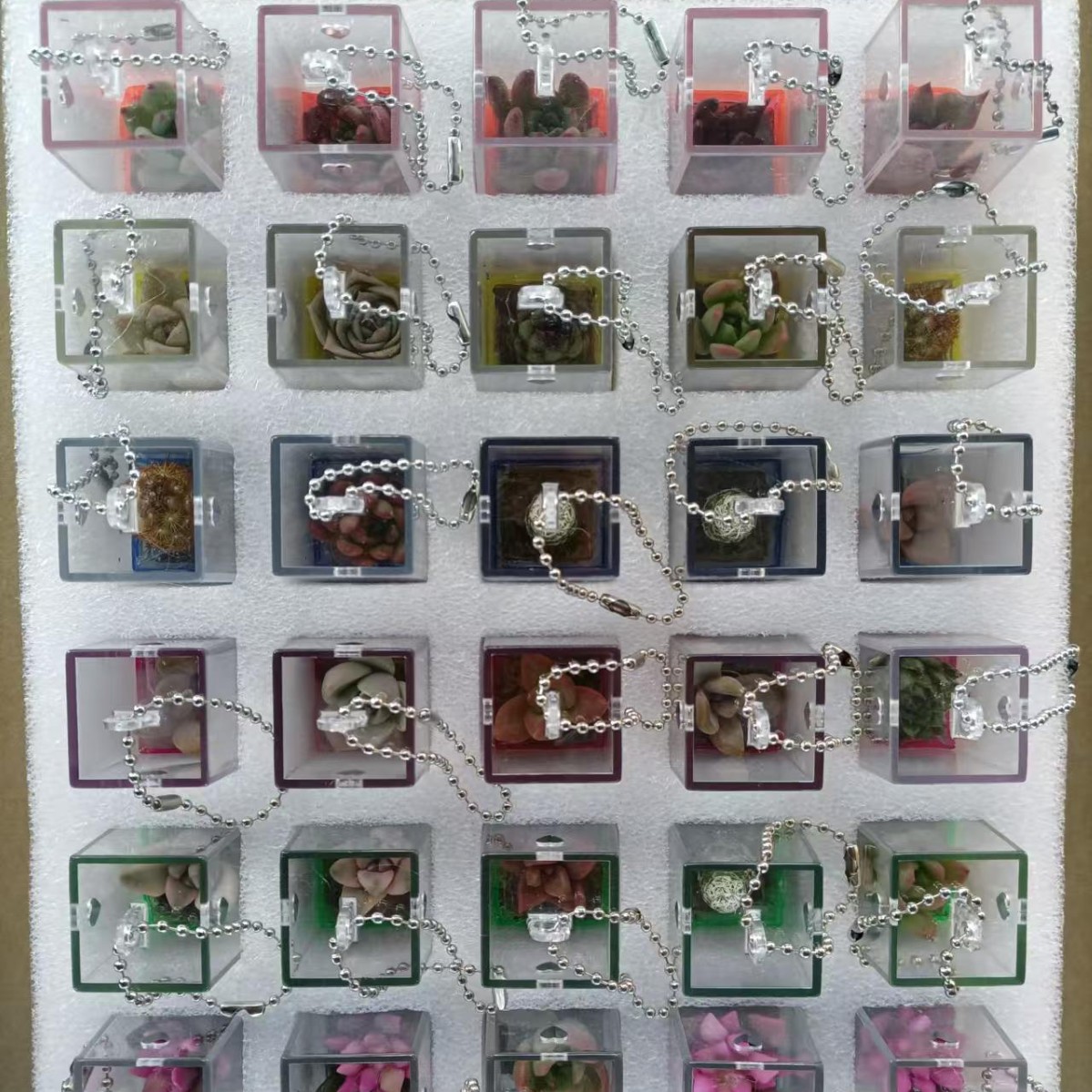 2024-10-21 10:27:15.jpg