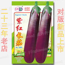 茄子种子紫红长茄紫红色种籽春夏季蔬菜种籽肉厚菜籽种孑大