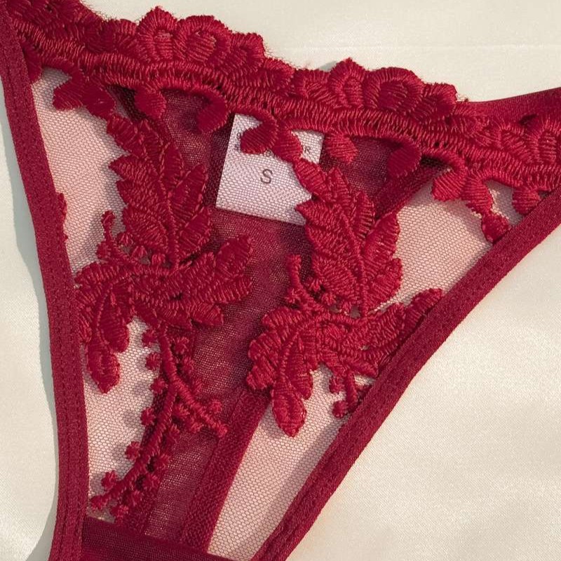 Ropa interior sexy de venta caliente transfronteriza europea y americana, malla transparente bordada suave, ropa interior sexy pura, traje de tanga 68