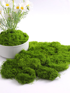 ̦�\��Ƥ�쾰��������̦΢���^���Ô[����ƺ�辰��������b�